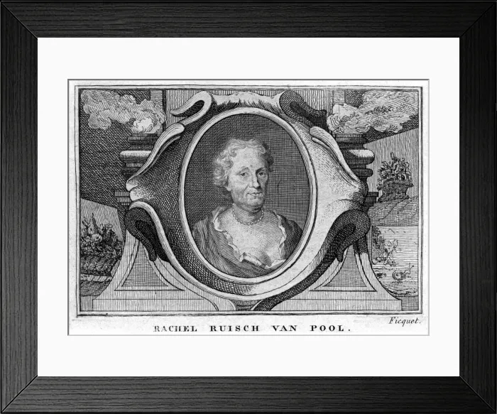 Framed Print : Rachel Van Pool Framed Print : Rachel Van Pool