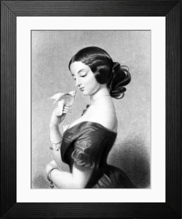 Framed Print : Ellen Power Framed Print : Ellen Power