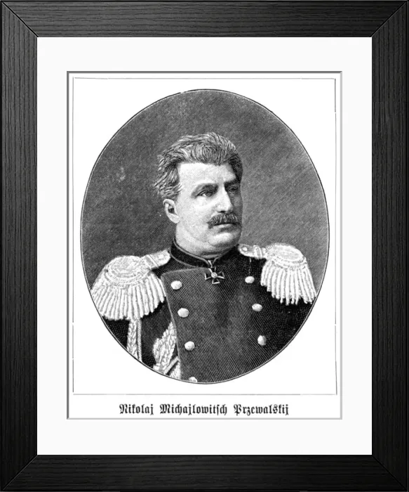 Framed Print : Nicolas Prevalsky Framed Print : Nicolas Prevalsky