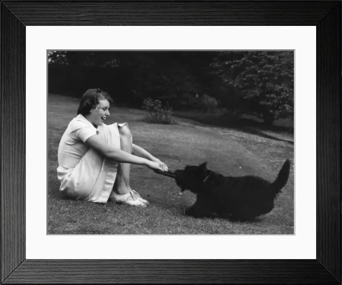 Framed Print : Doggie Tug of War Framed Print : Doggie Tug of War