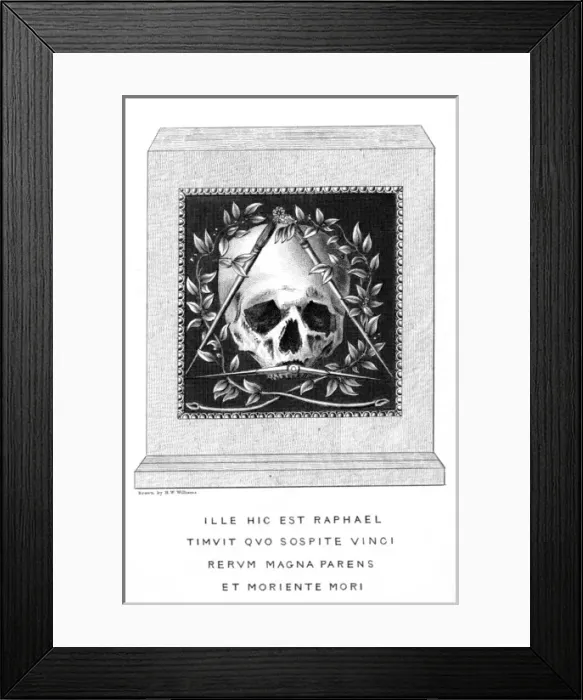 Framed Print : Raffaellos Skull Framed Print : Raffaellos Skull