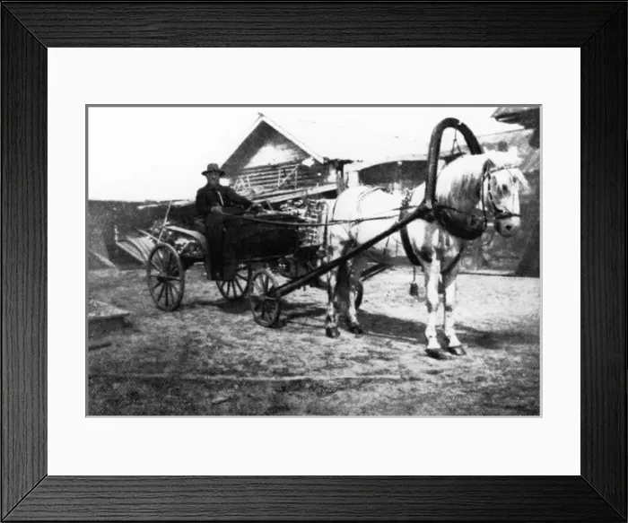 Framed Print : Rasputin in Carriage Framed Print : Rasputin in Carriage