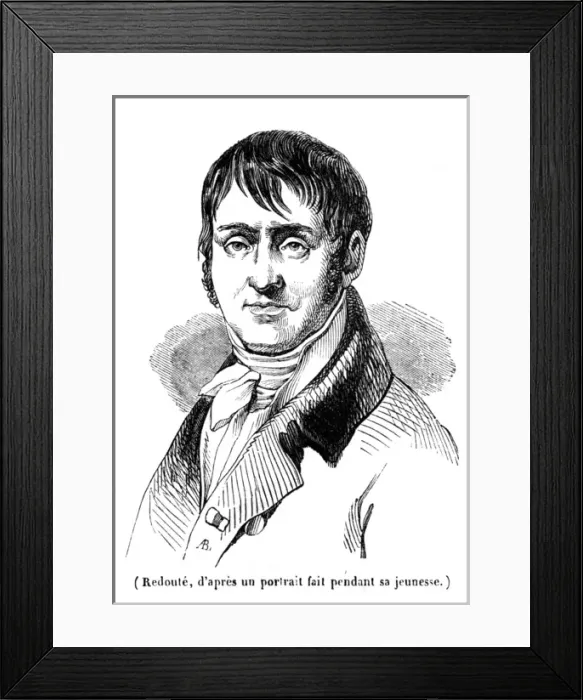 Framed Print : Pierre Joseph Redoute -2 Framed Print : Pierre Joseph Redoute -2