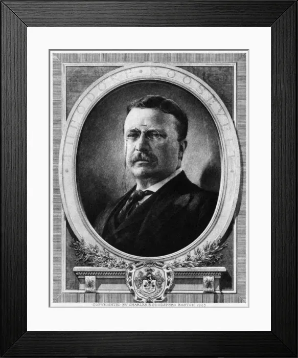 Framed Print : Theodore Roosevelt Framed Print : Theodore Roosevelt
