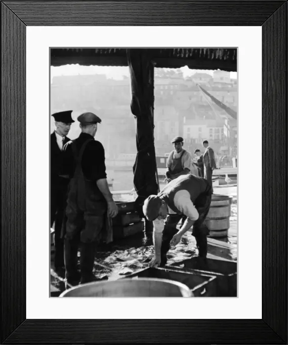 Framed Print : Brixham Fish Market Framed Print : Brixham Fish Market