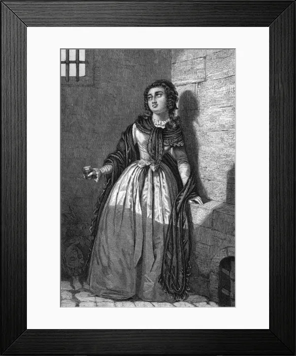 Framed Print : Marie De Sombreuil Framed Print : Marie De Sombreuil