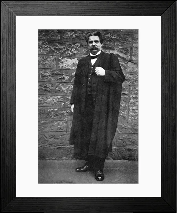 Framed Print : Schweitzer Academic Framed Print : Schweitzer Academic