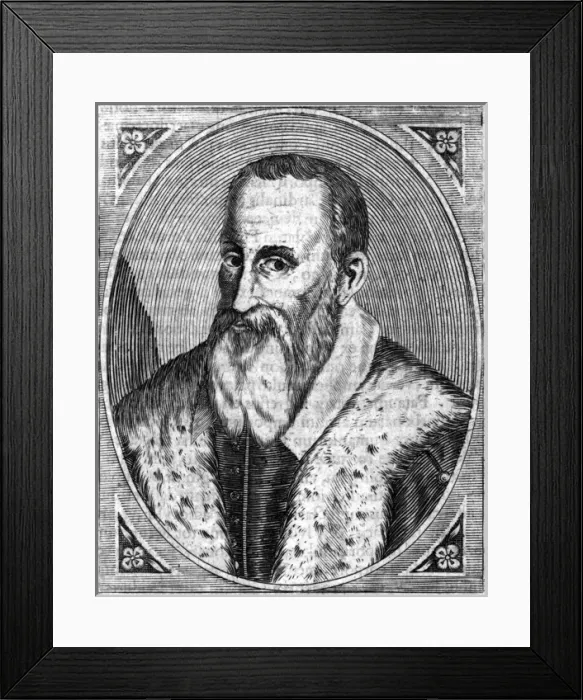 Framed Print : Carlo Sigonio Framed Print : Carlo Sigonio