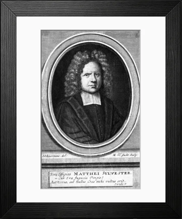 Framed Print : Matthew Sylvester Framed Print : Matthew Sylvester