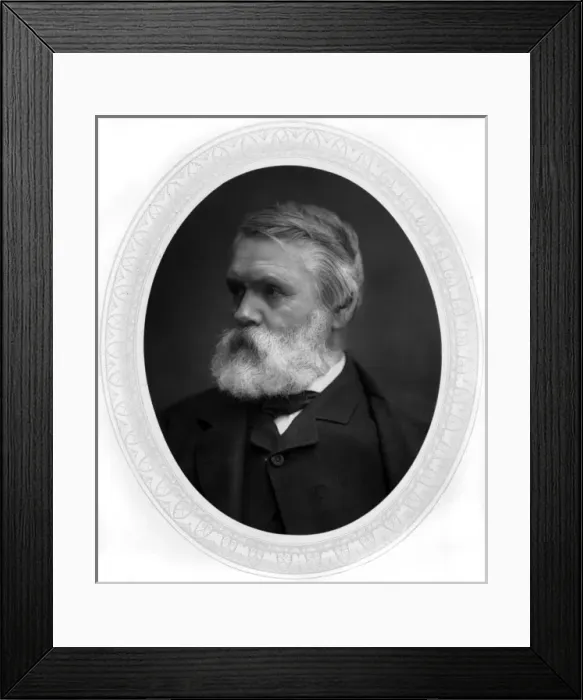 Framed Print : Tom Taylor, Photo Framed Print : Tom Taylor, Photo