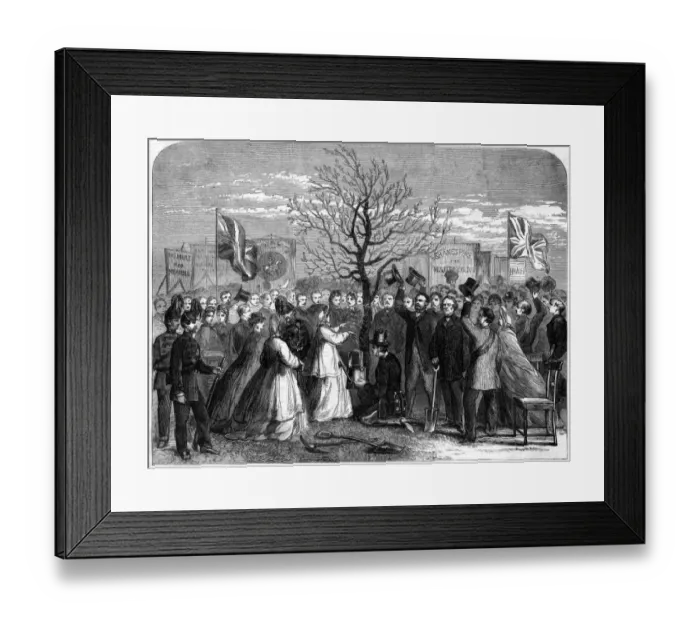 Framed Print : Shakespeare Oak 1864 Framed Print : Shakespeare Oak 1864