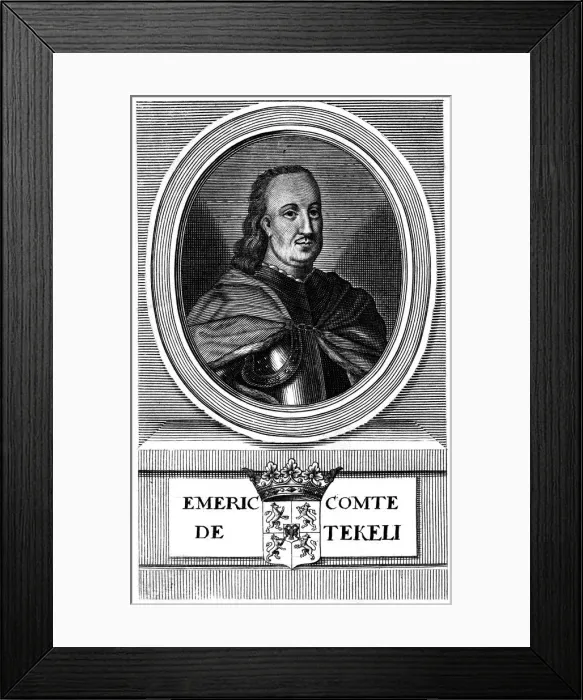 Framed Print : Emeric Tekeli - 2 Framed Print : Emeric Tekeli - 2