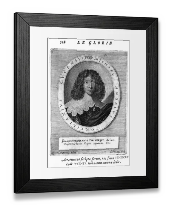 Framed Print : Michelangelo Torciliani Framed Print : Michelangelo Torciliani
