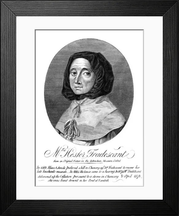 Framed Print : Hester Tradescant Framed Print : Hester Tradescant