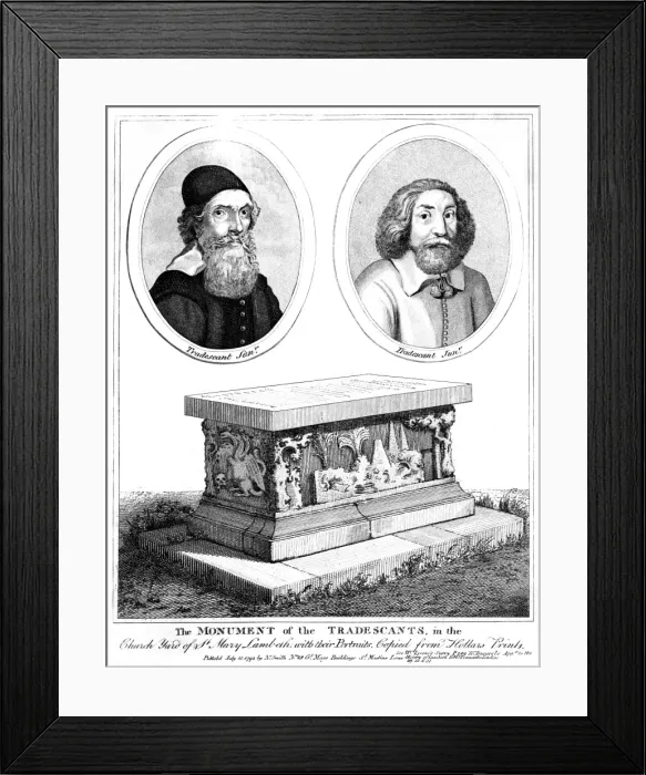Framed Print : Tradescant Father & Son Framed Print : Tradescant Father & Son