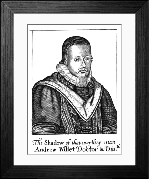 Framed Print : Andrew Willet Framed Print : Andrew Willet