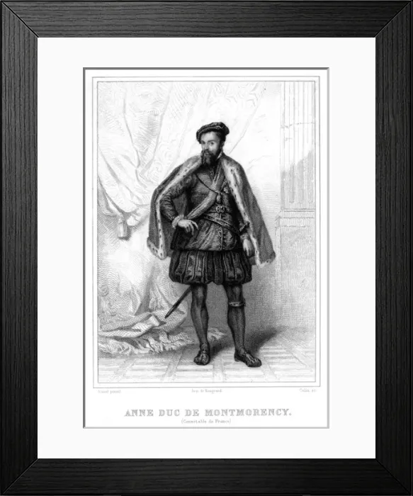 Framed Print : Anne De Montmorency Framed Print : Anne De Montmorency