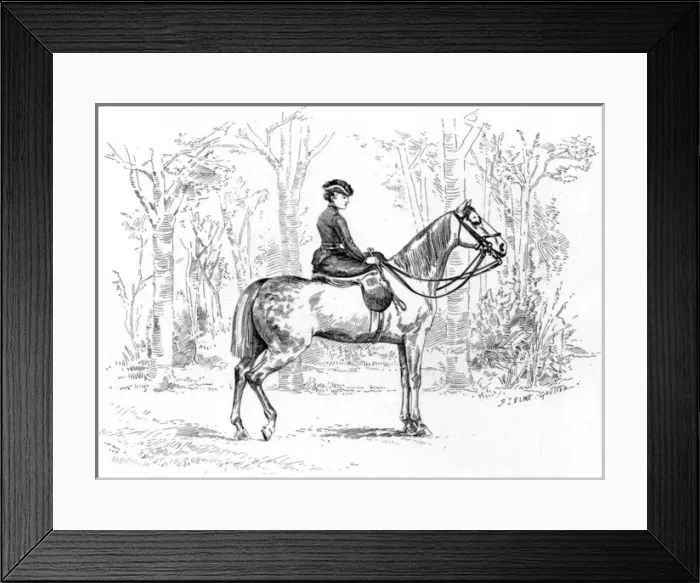 Framed Print : Duchesse d Uzes Framed Print : Duchesse d Uzes