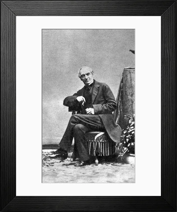 Framed Print : Merimee Photo Framed Print : Merimee Photo