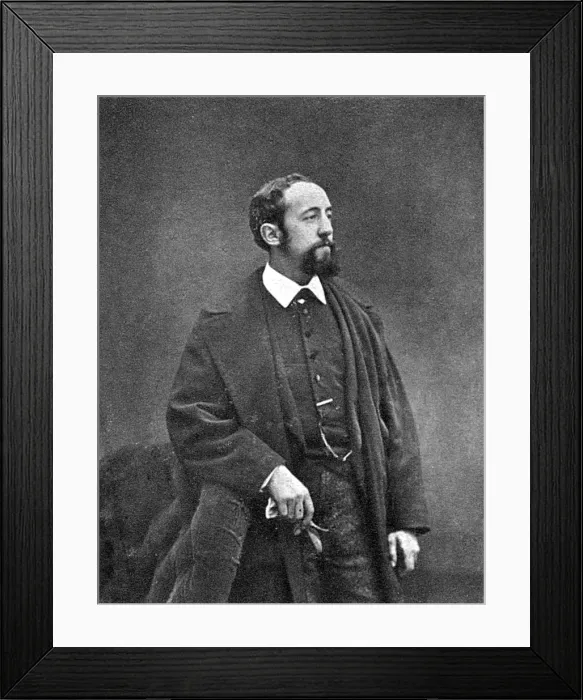 Framed Print : Claretie Photo Framed Print : Claretie Photo