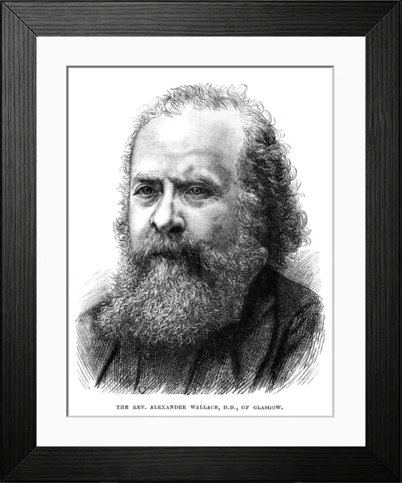 Framed Print : Alexander Wallace Framed Print : Alexander Wallace