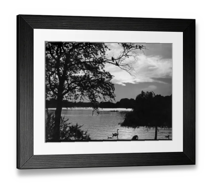 Framed Print : Serpentine at Eventide Framed Print : Serpentine at Eventide