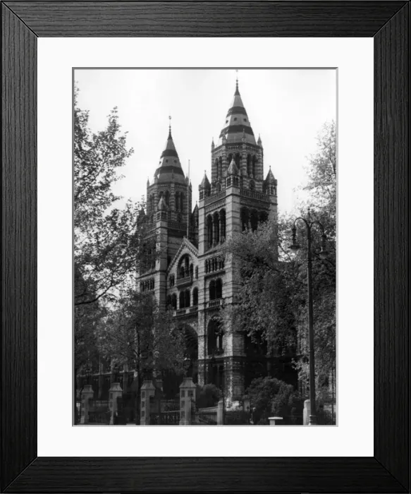 Framed Print : Natural History Museum Framed Print : Natural History Museum