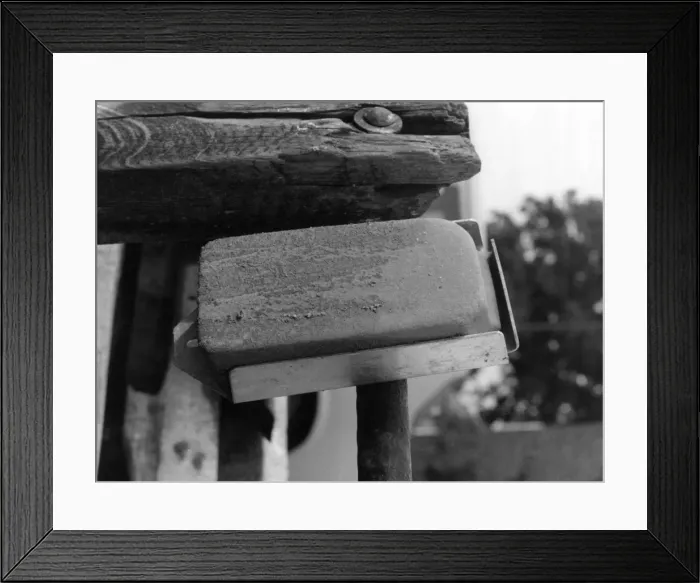 Framed Print : Salt Lick for Horses Framed Print : Salt Lick for Horses