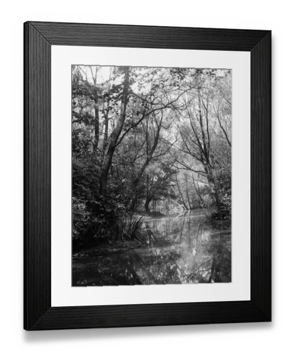 Framed Print : Wanstead Lake Framed Print : Wanstead Lake