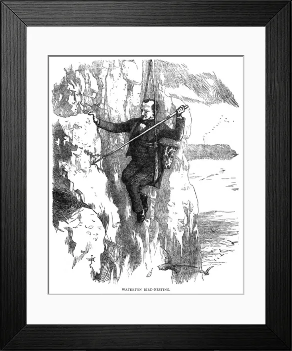 Framed Print : Charles Waterton Framed Print : Charles Waterton