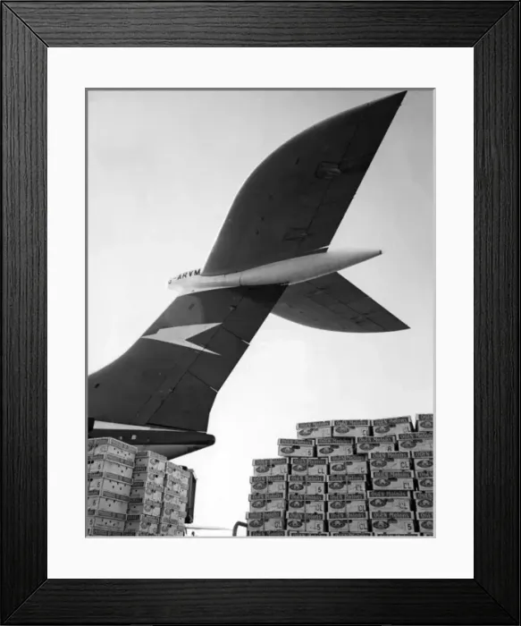 Framed Print : Flying Melons Framed Print : Flying Melons