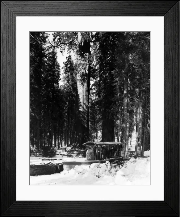 Framed Print : Forest Snow Plough Framed Print : Forest Snow Plough
