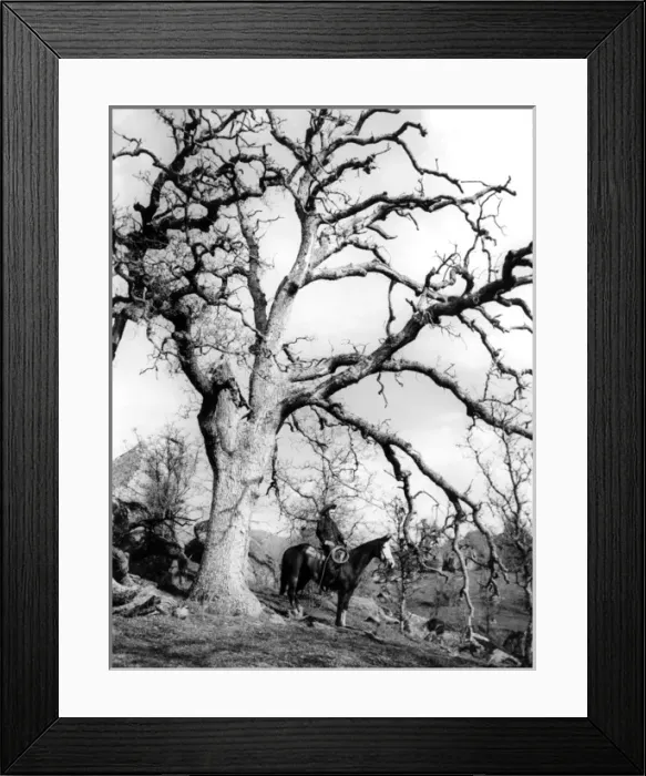 Framed Print : Genuine Cowhand Framed Print : Genuine Cowhand