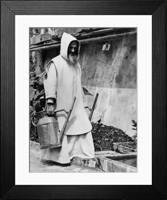 Framed Print : Gardening Monk Framed Print : Gardening Monk