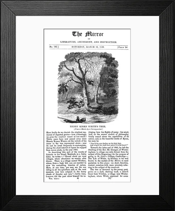Framed Print : Whites Tree Framed Print : Whites Tree