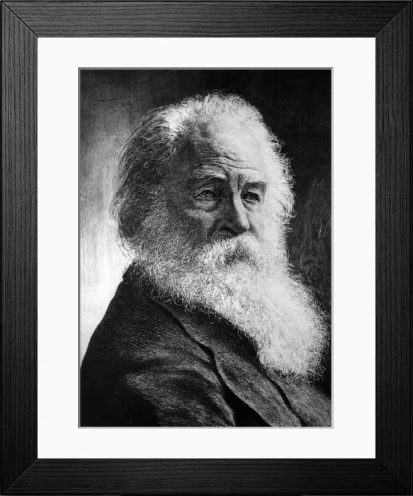 Framed Print : Whitman Photo Framed Print : Whitman Photo