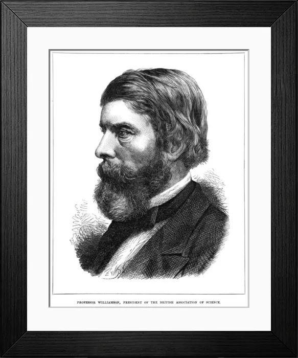 Framed Print : William C Williamson Framed Print : William C Williamson
