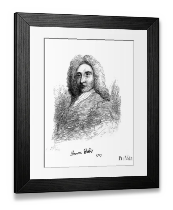 Framed Print : Browne Willis Framed Print : Browne Willis