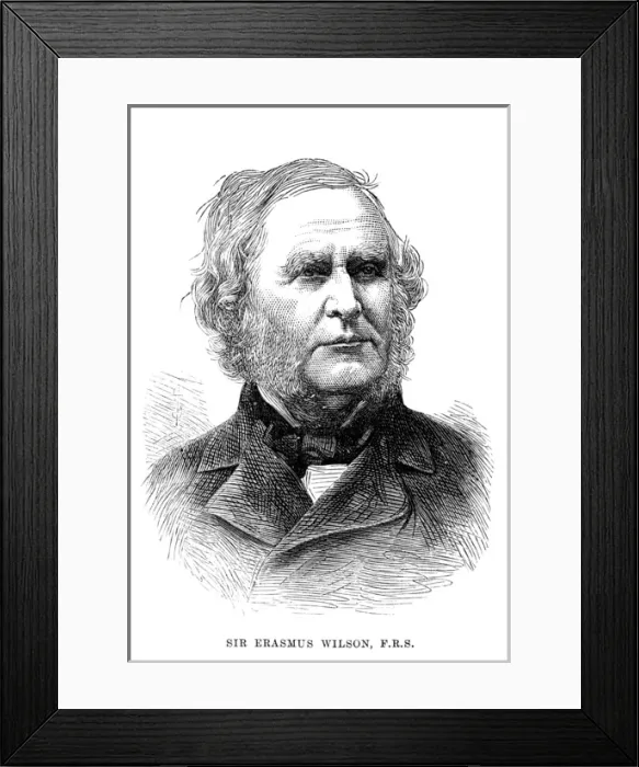 Framed Print : Erasmus Wilson - 3 Framed Print : Erasmus Wilson - 3