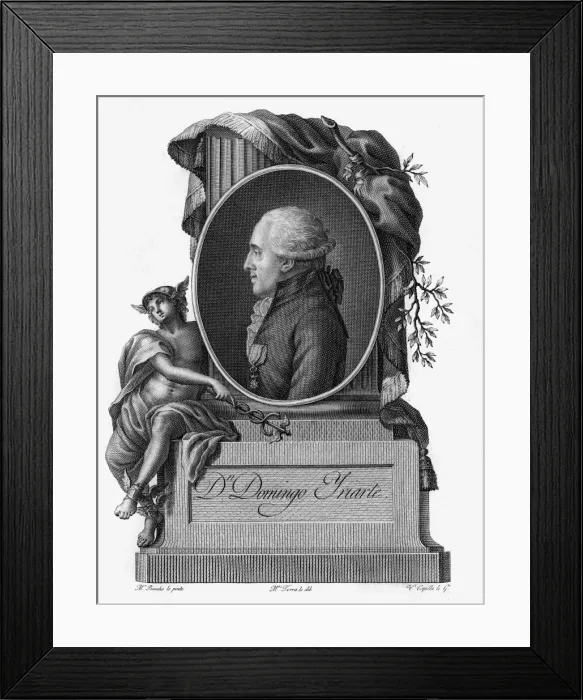 Framed Print : Domingo Yriarte Framed Print : Domingo Yriarte
