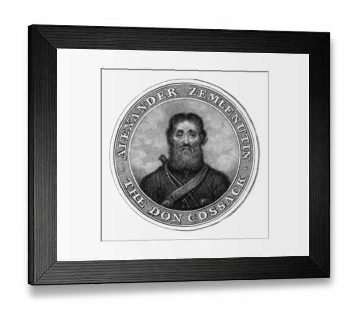 Framed Print : Alexander Zemlenutin Framed Print : Alexander Zemlenutin