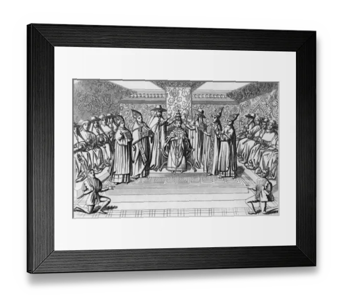 Framed Print : Boniface IX Installed Framed Print : Boniface IX Installed