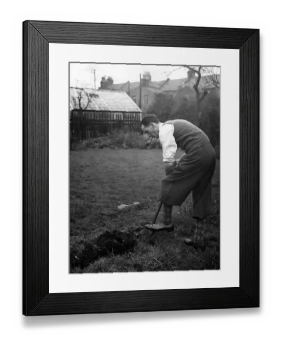 Framed Print : Digging for Victory Framed Print : Digging for Victory