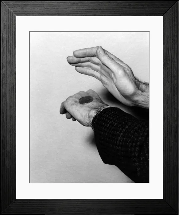 Framed Print : Heads or Tails? Framed Print : Heads or Tails?