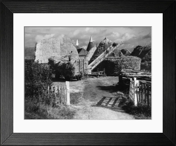 Framed Print : Kentish Harvest Framed Print : Kentish Harvest