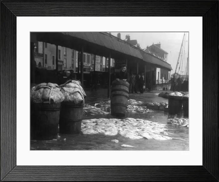 Framed Print : Brixham Fish Market Framed Print : Brixham Fish Market