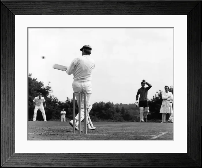 Framed Print : Cricket Match Framed Print : Cricket Match