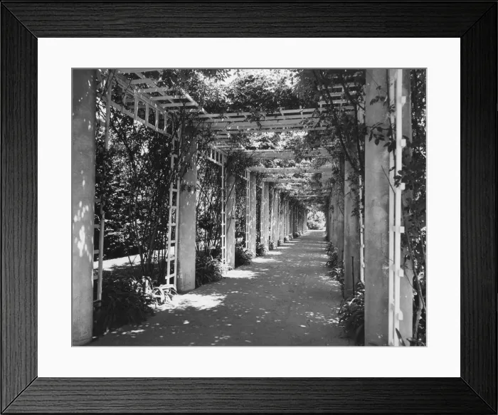 Framed Print : Shaded Walk Framed Print : Shaded Walk