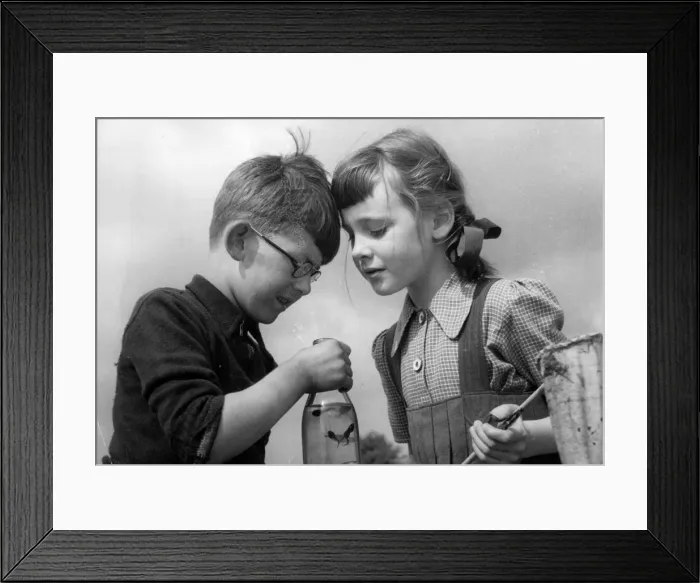 Framed Print : Playing with Tiddlers Framed Print : Playing with Tiddlers