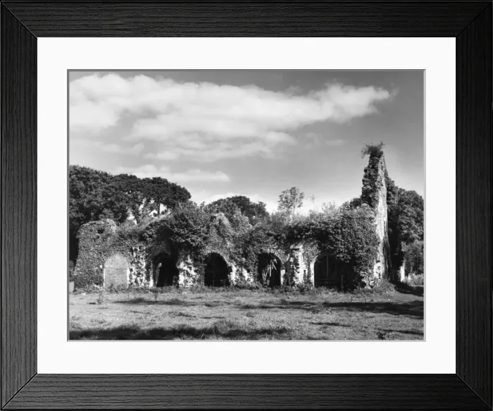 Framed Print : Waverley Abbey Framed Print : Waverley Abbey
